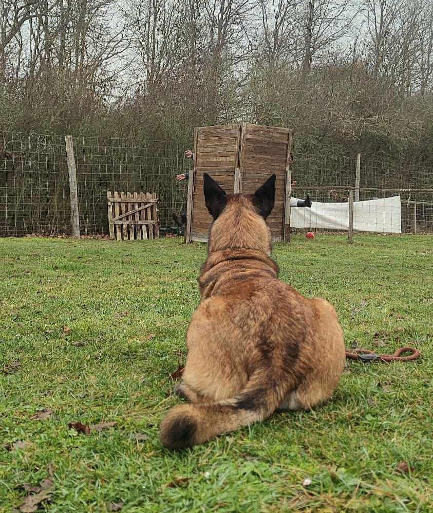 Received 212983265141466